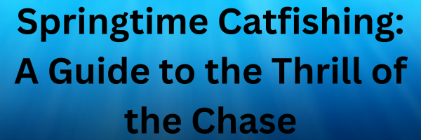 Springtime Catfishing: A Guide to the Thrill of the Chase